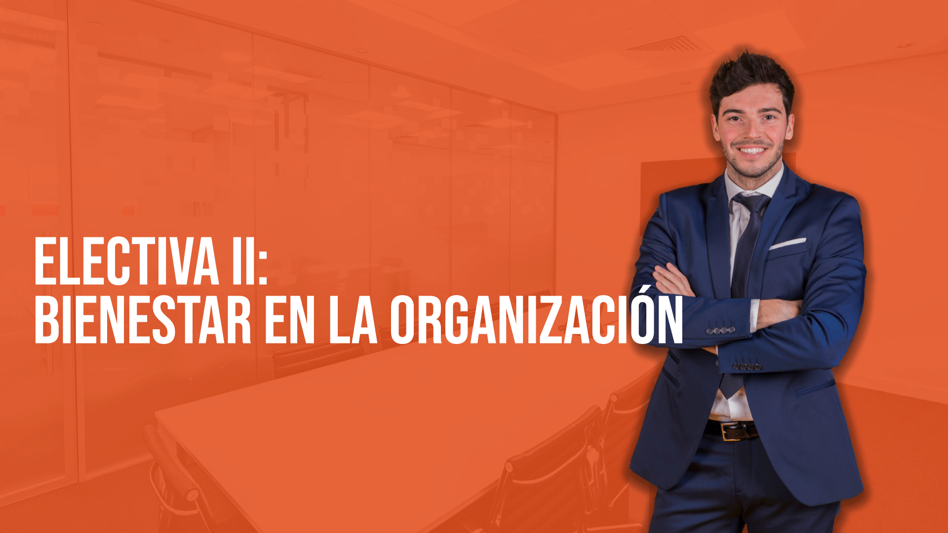 Electiva II: Bienestar en la organización