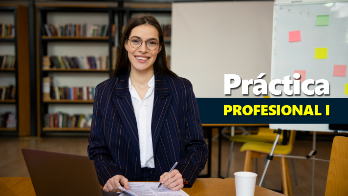 Práctica profesional I