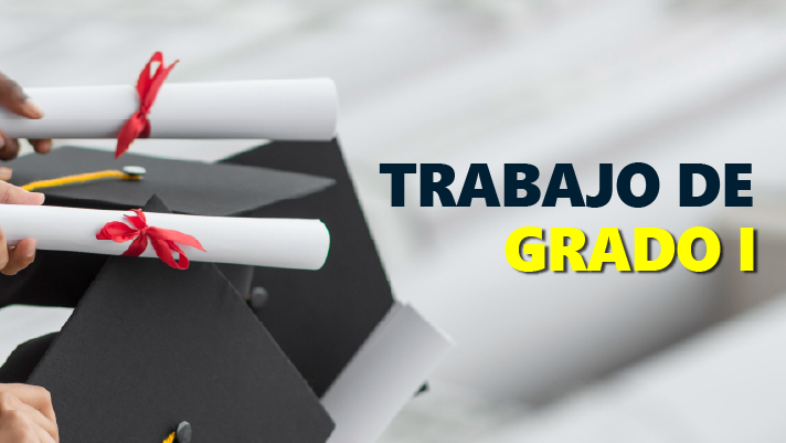 Trabajo de grado I