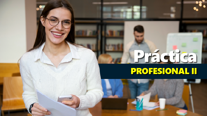 Práctica profesional II