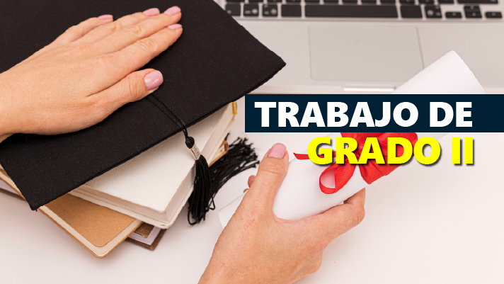 Trabajo de grado II