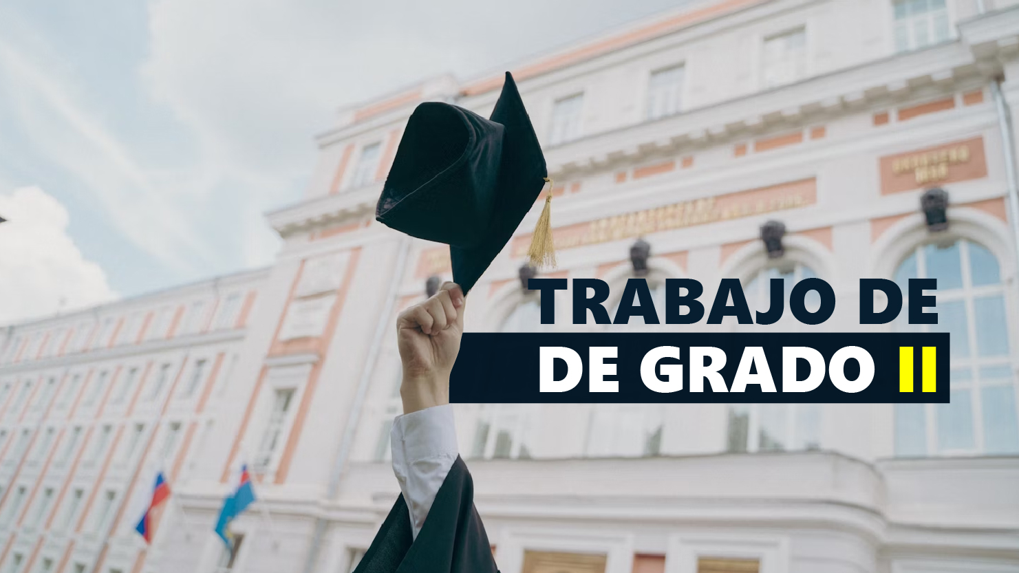 Trabajo de grado II