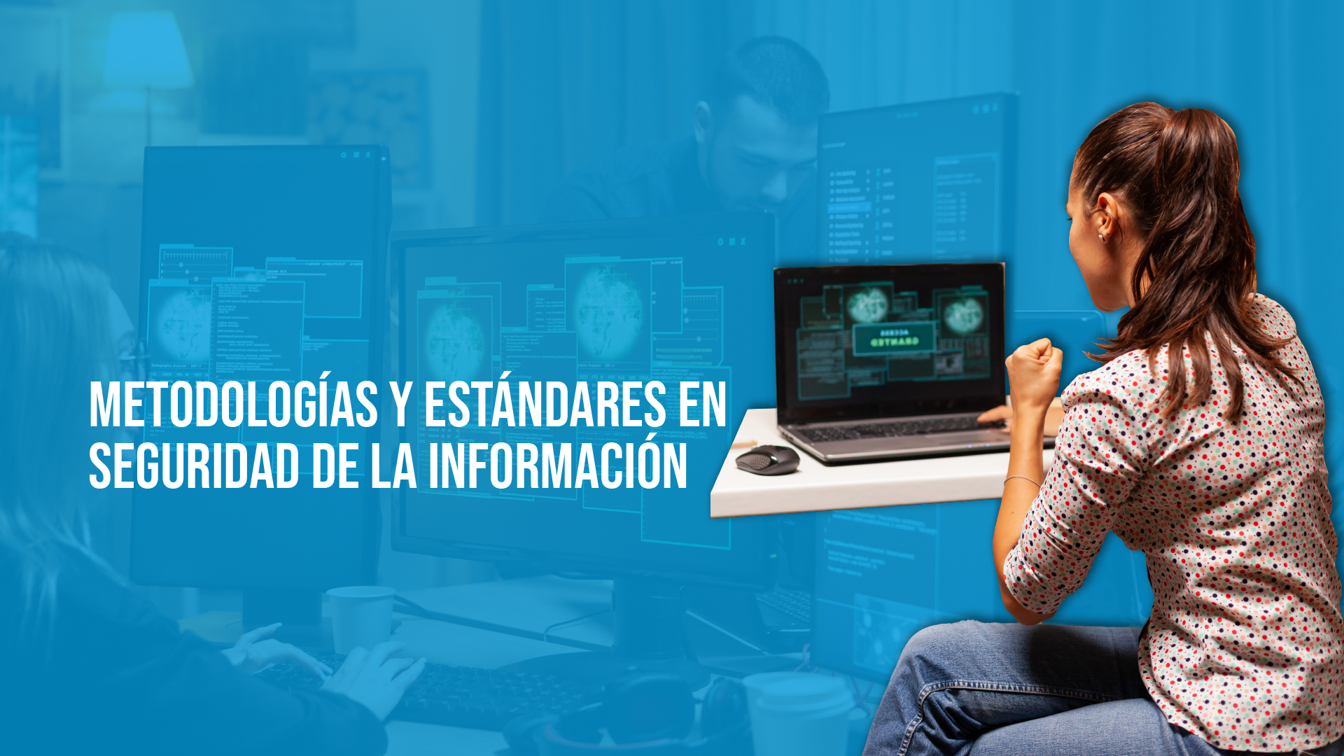 Metodologías y estándares en seguridad de la información