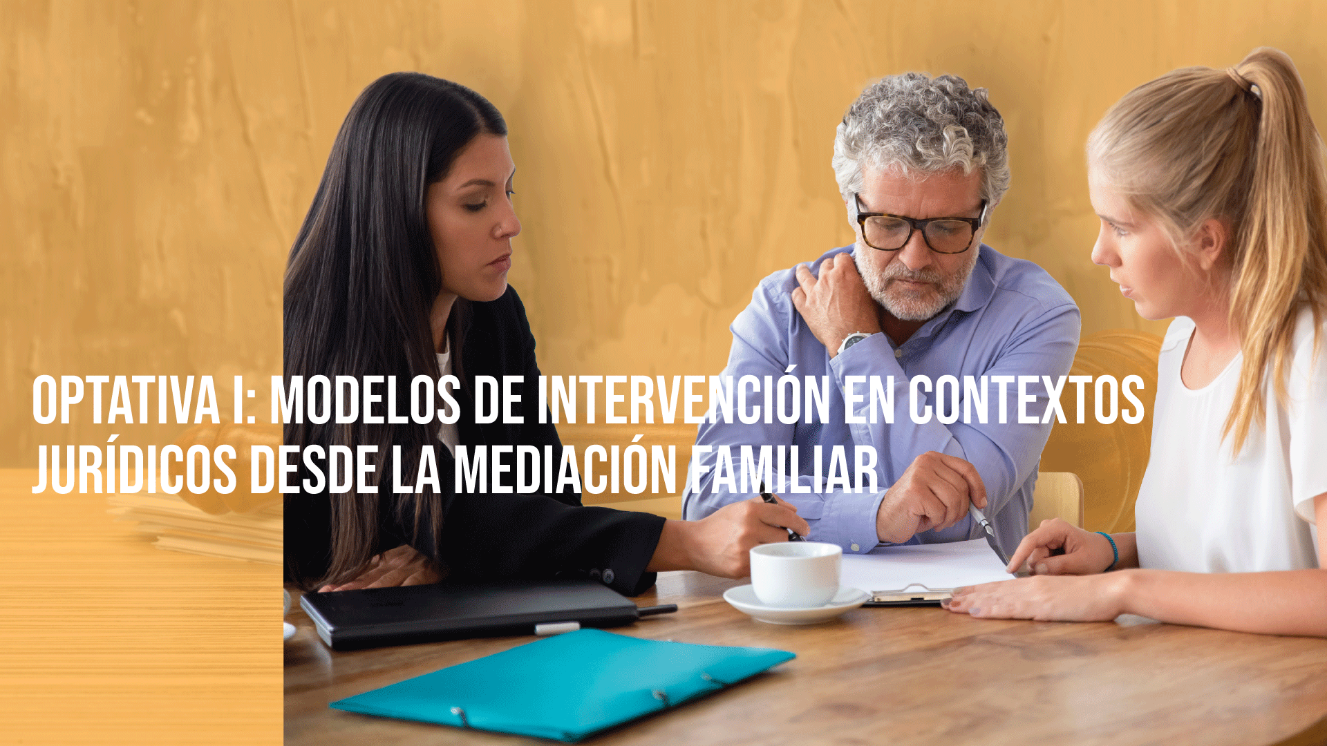 Optativa I: Modelos de Intervención en Contextos Jurídicos desde la Mediación Familiar