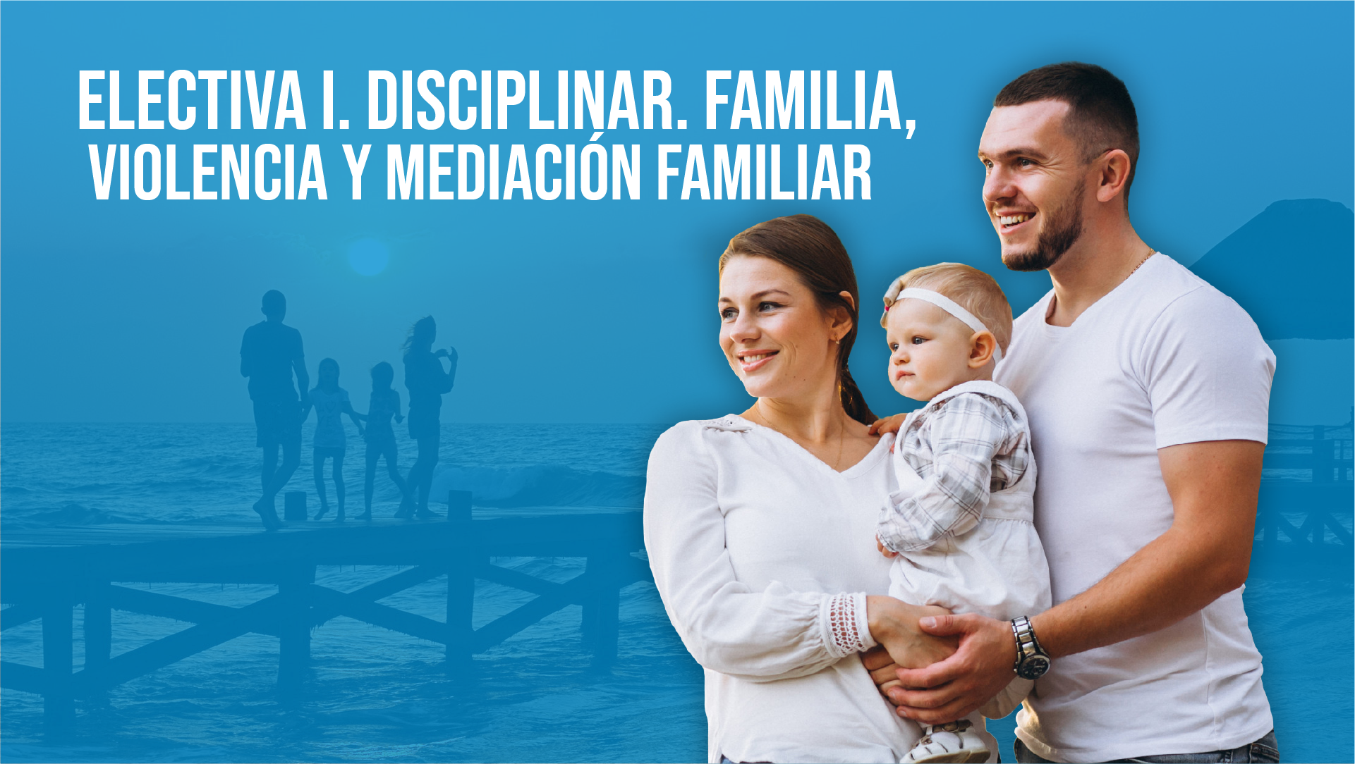 Electiva I. Disciplinar. Familia, Violencia y Mediación Familiar