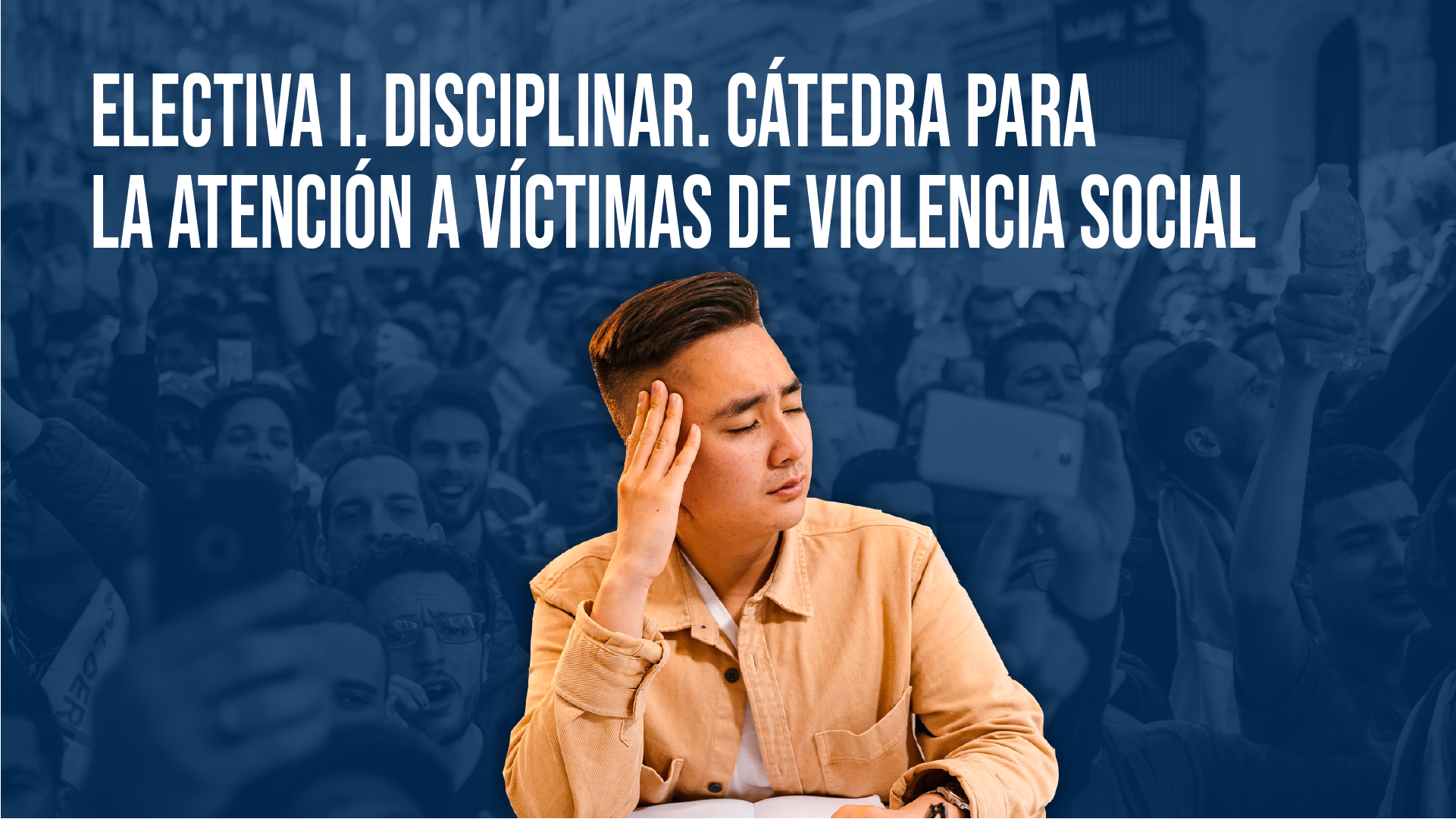 Electiva I. Disciplinar. Cátedra para la Atención a Víctimas de Violencia Social