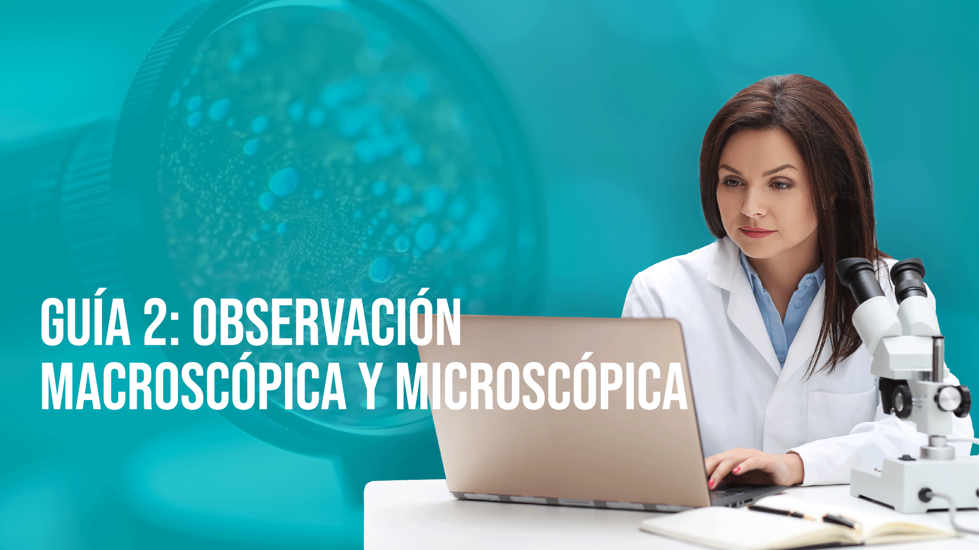 Guía 2: Observación Macroscópica y Microscópica