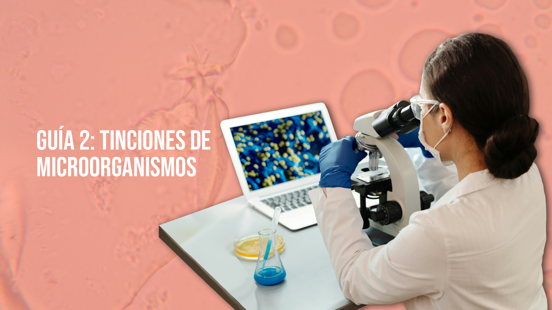 Tinciones de Microorganismos