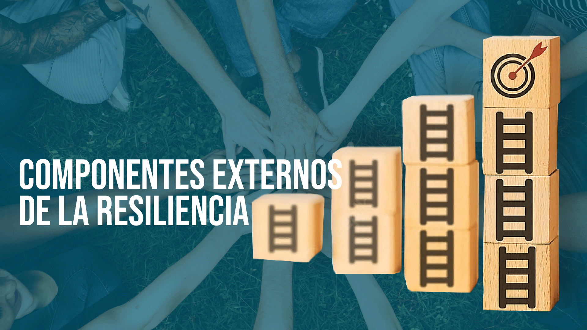 Componentes Externos de la Resiliencia