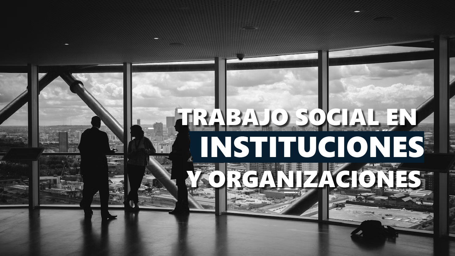 Trabajo Social en Instituciones y Organizaciones