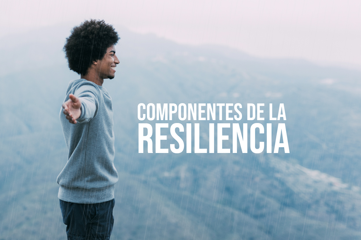 Componentes de la Resiliencia