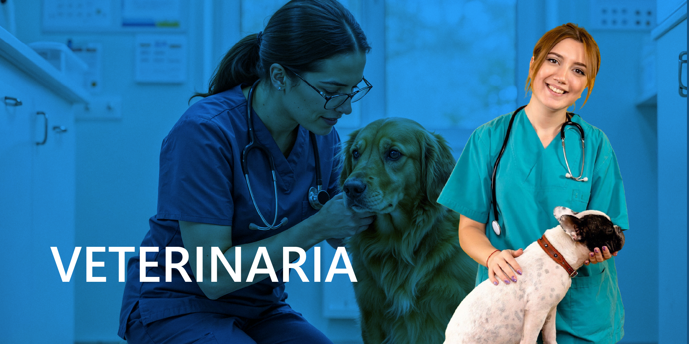 Medicina Veterinaria