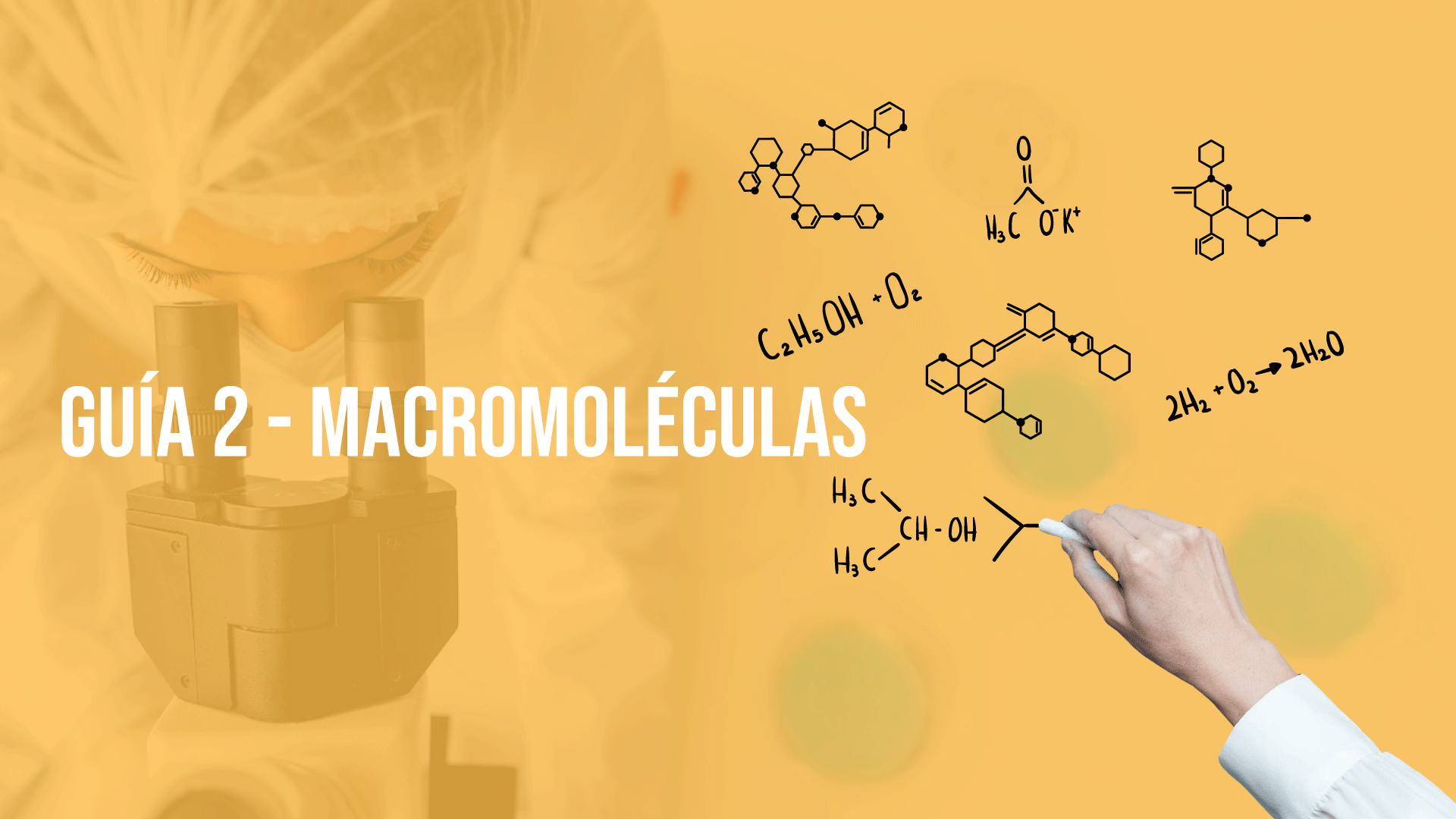 Guía 2: Macromoléculas 2025-II