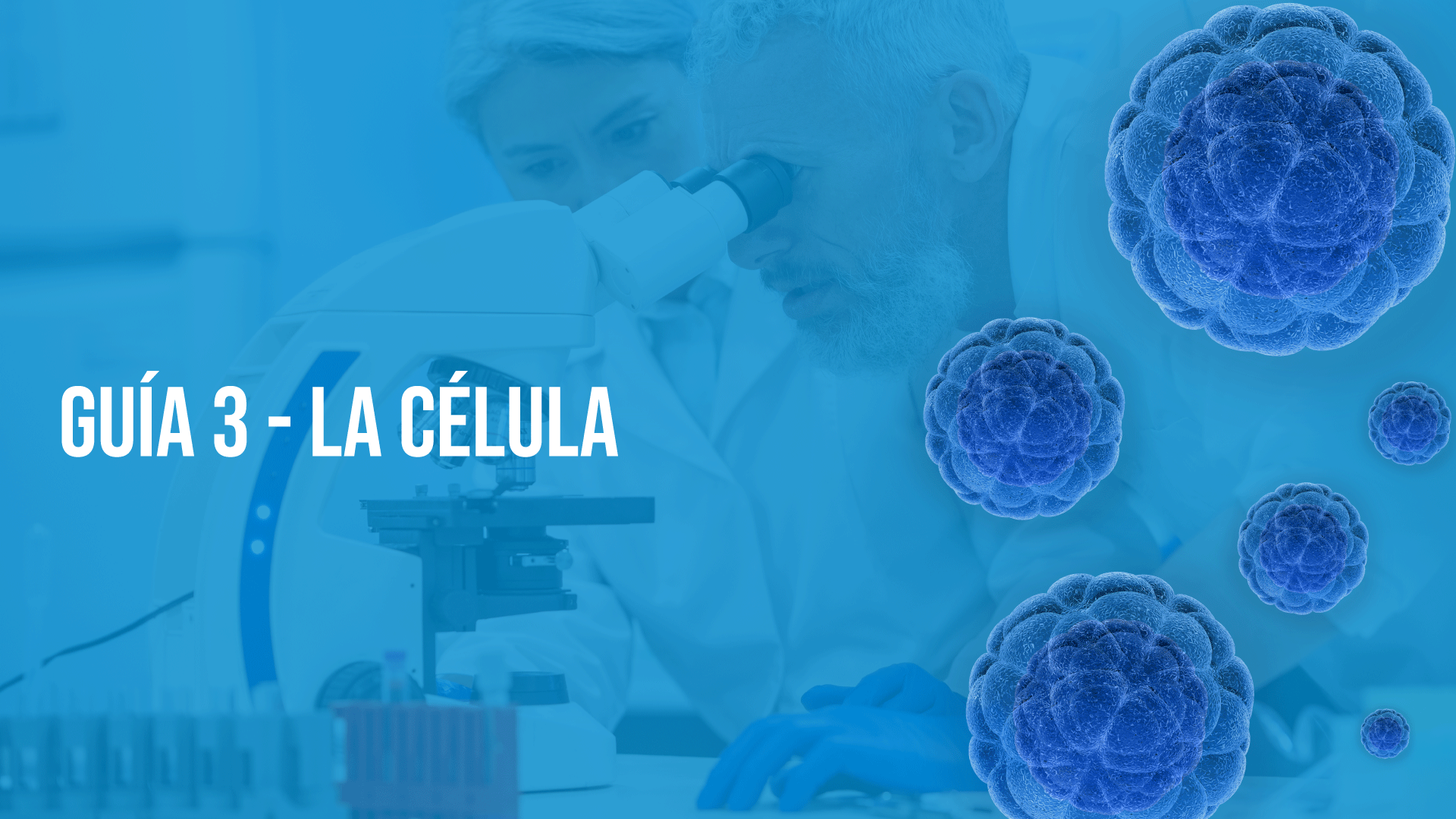 Guía 3: La Célula 2025-II