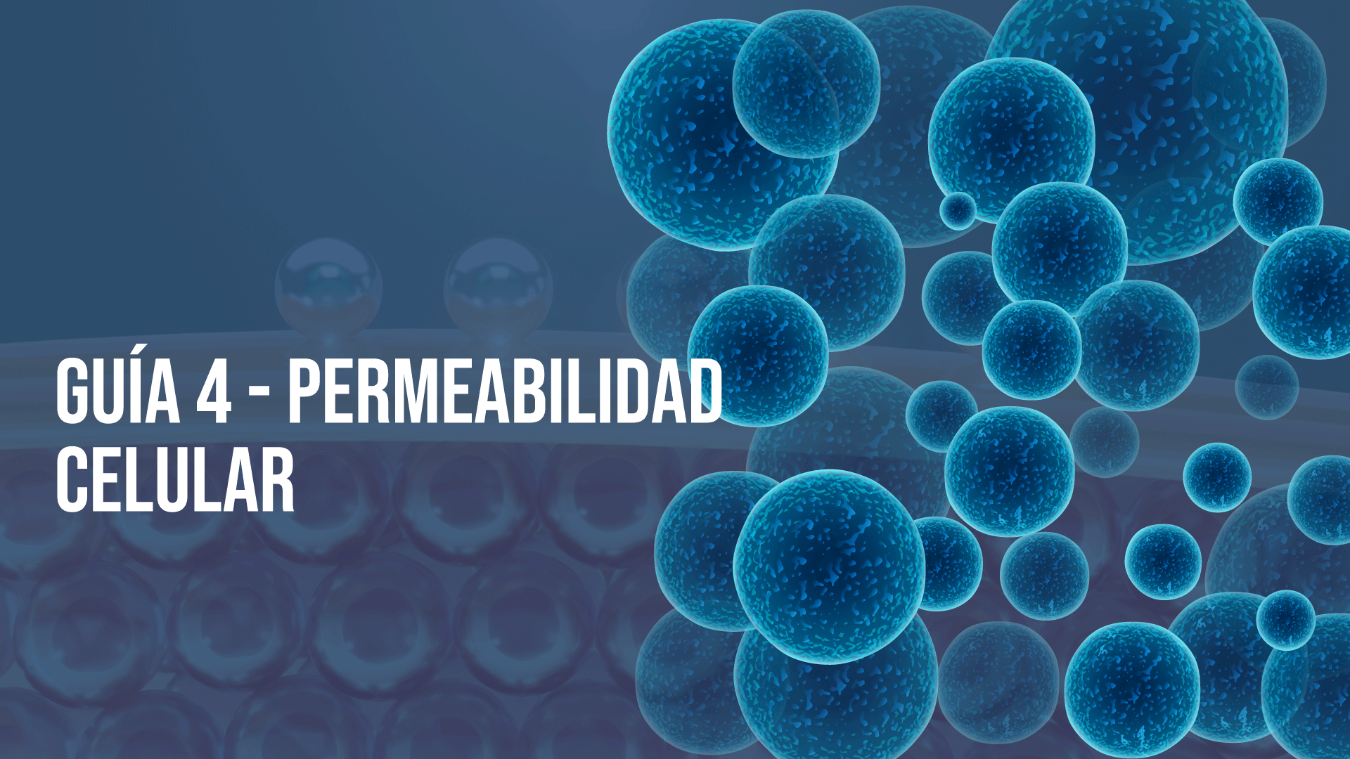 Guía 4: Permeabilidad Celular 2025-II