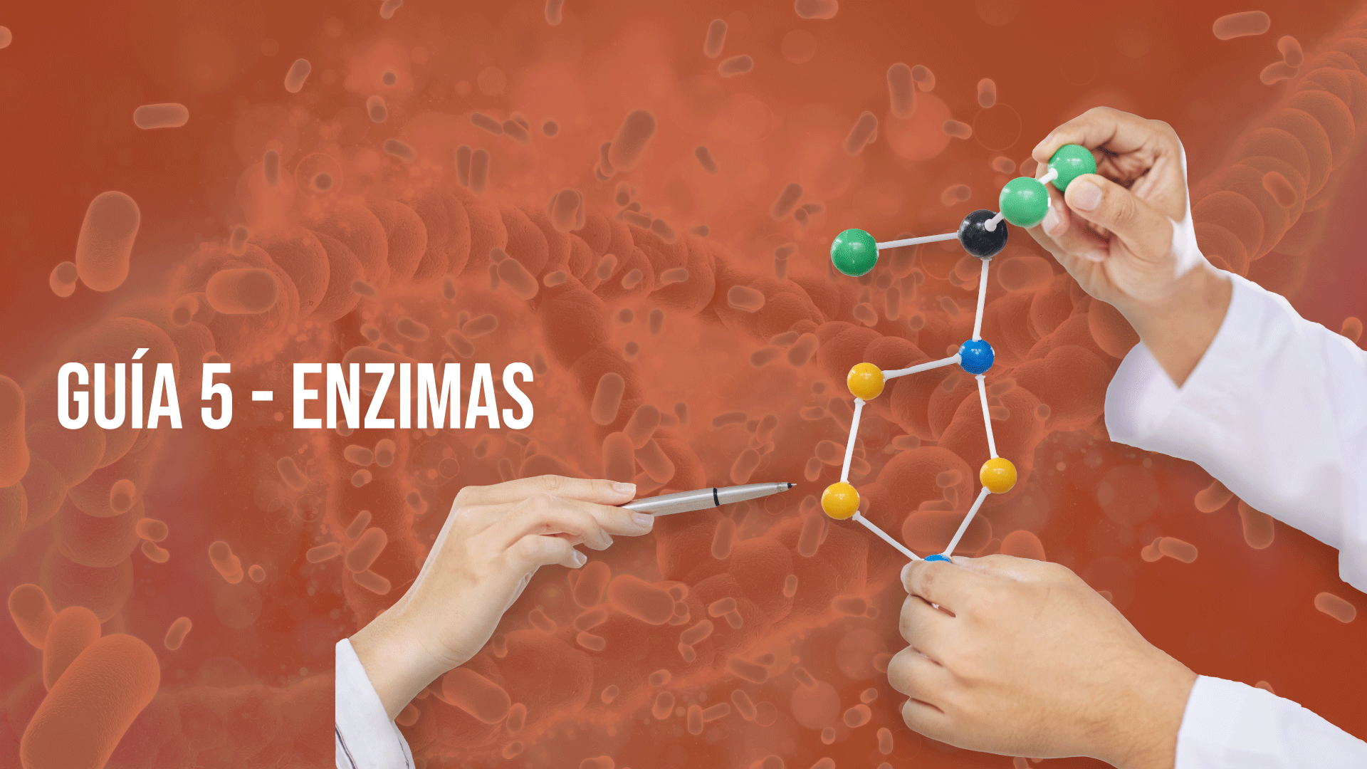 Guía 5: Enzimas 2025-II