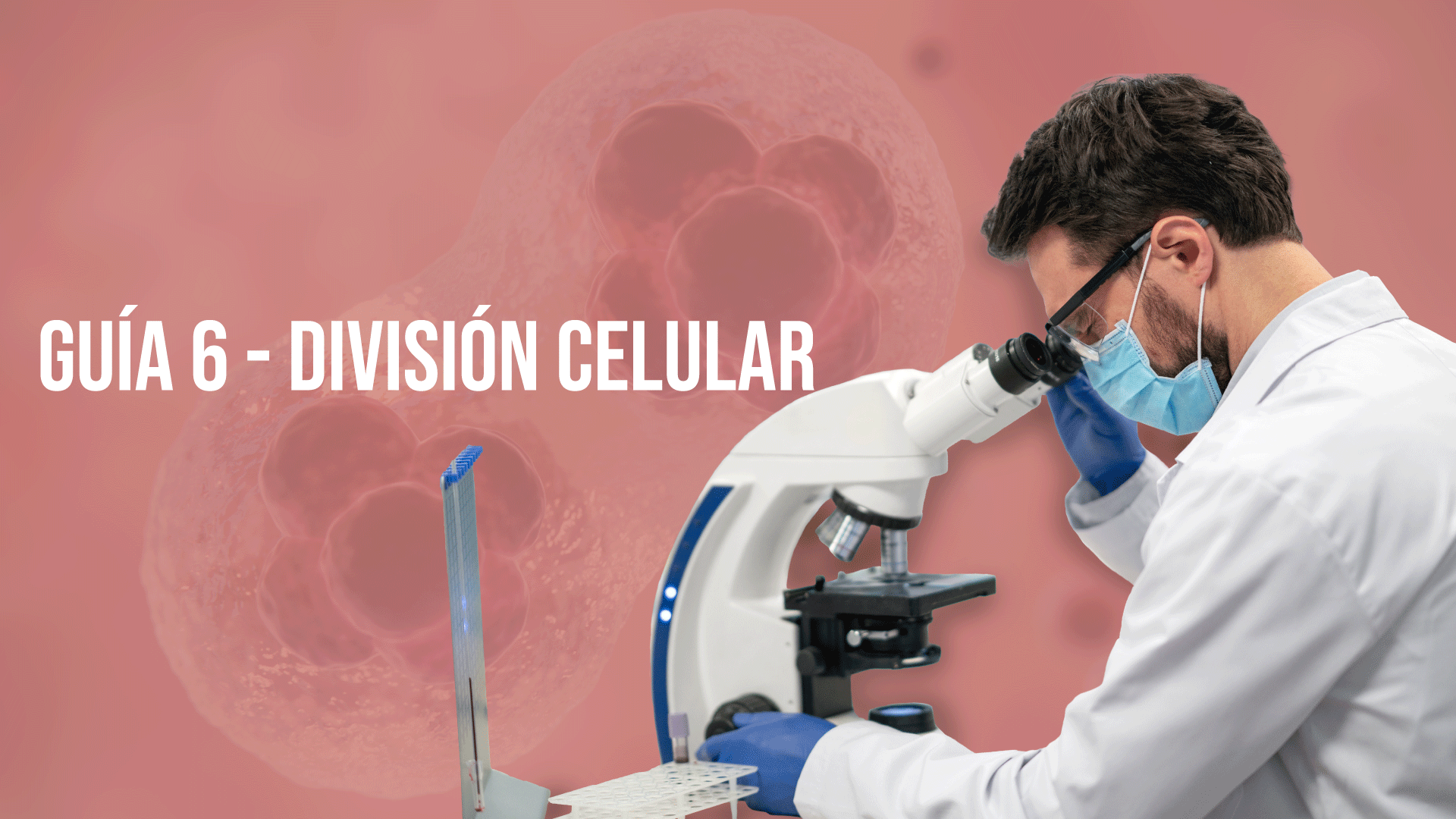 Guía 6: División Celular 2025-II
