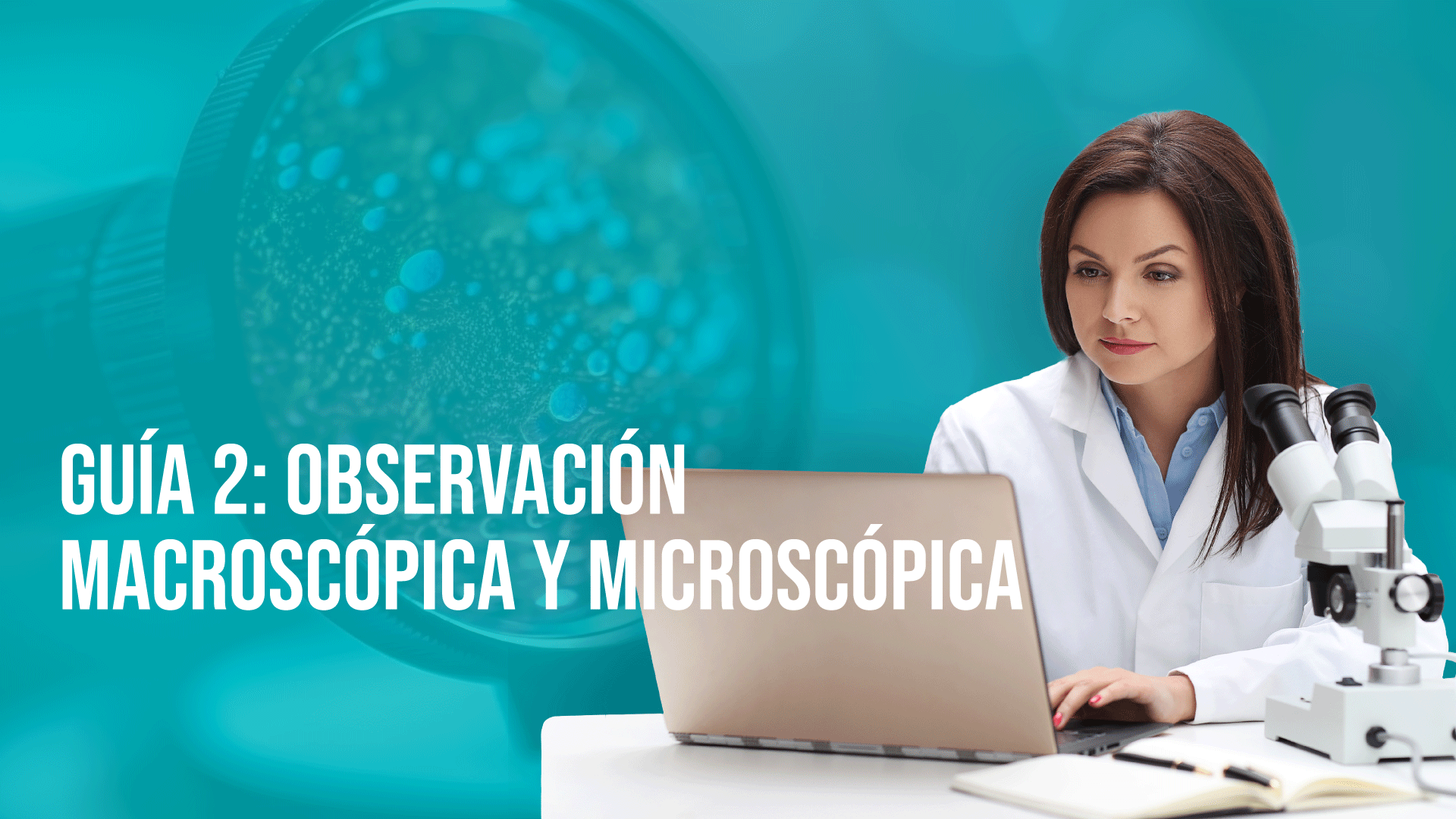 Guía 2: Observación Macroscópica y Microscópica 2025-II