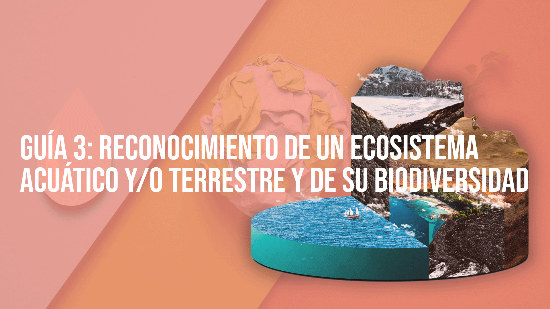 Guía 3: Reconocimiento de un ecosistema acuático y/o terrestre y de su biodiversidad 2025-II