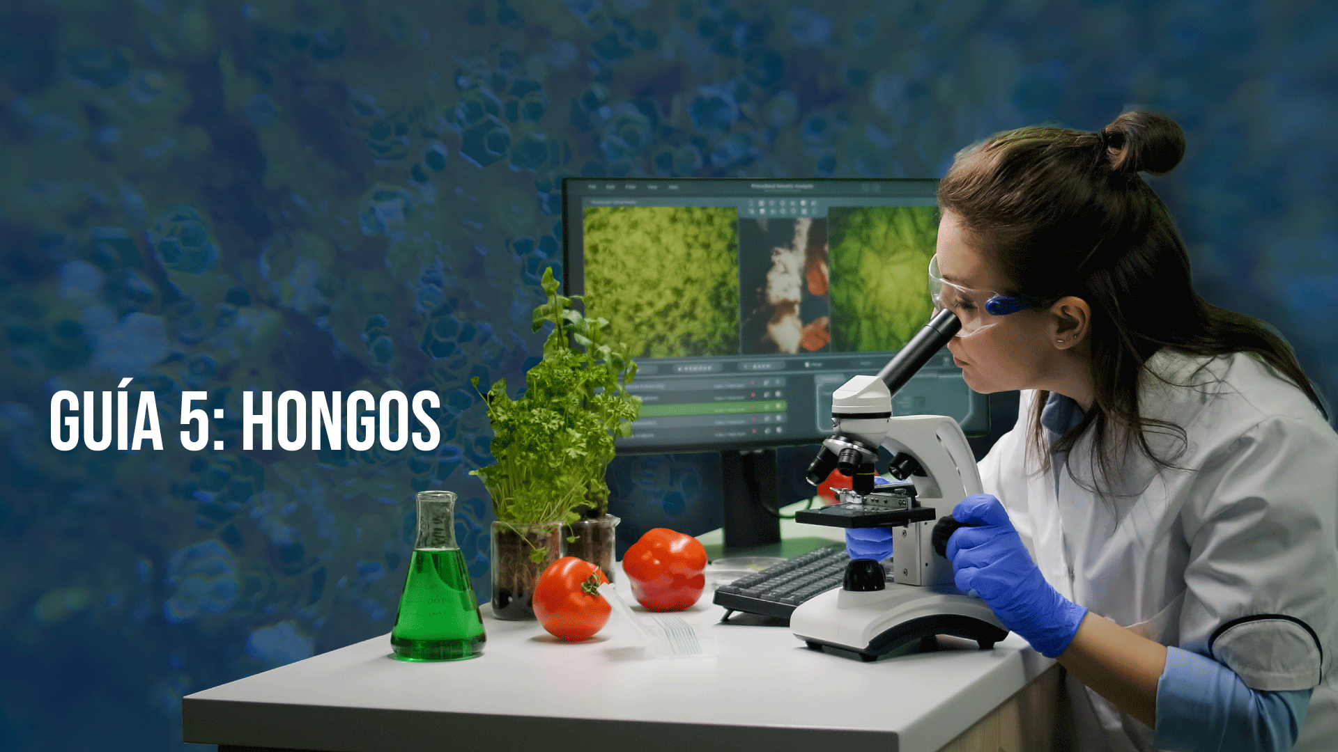 Guía 5: Hongos 2025-II