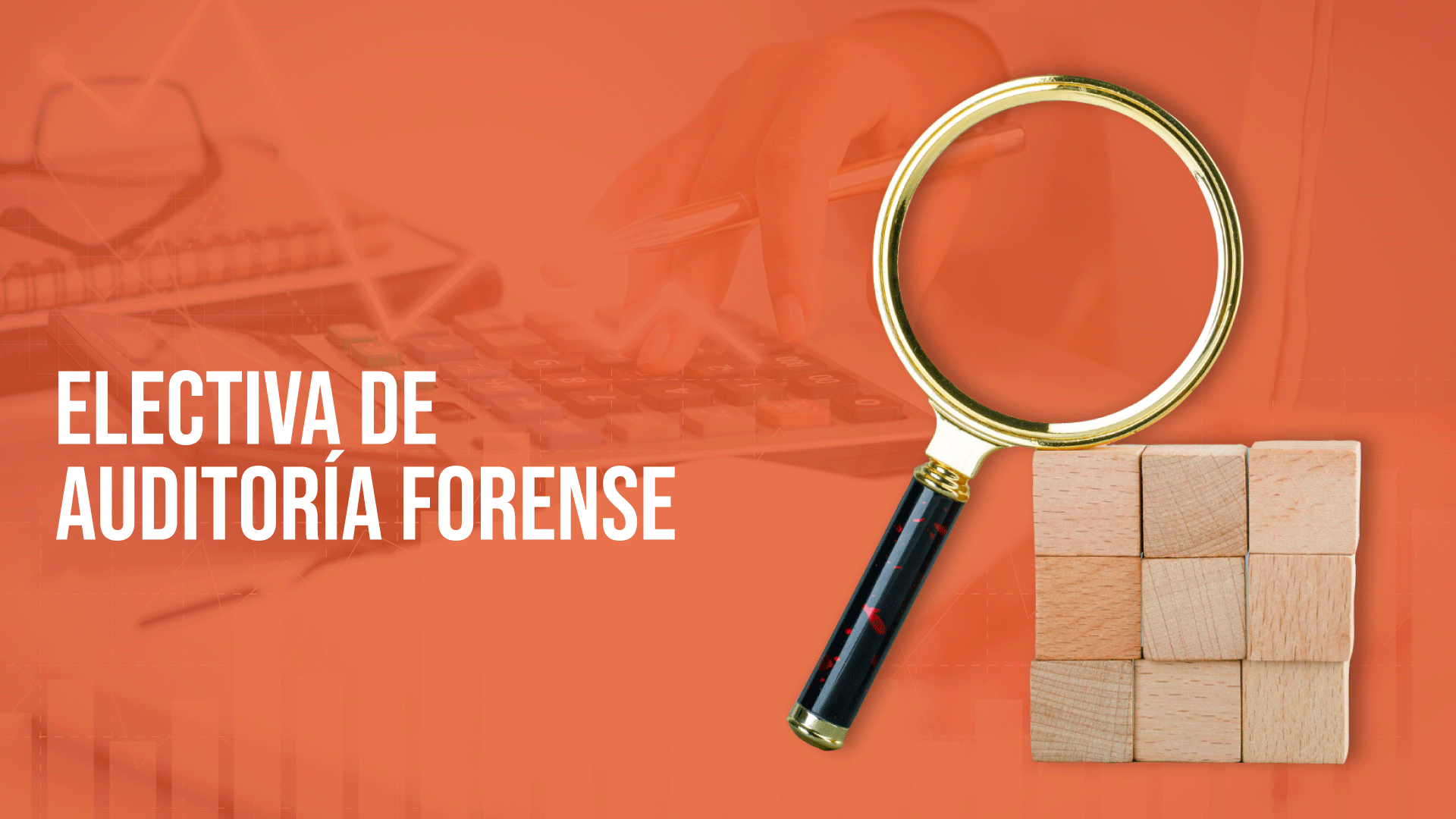 Electiva de Auditoría Forense